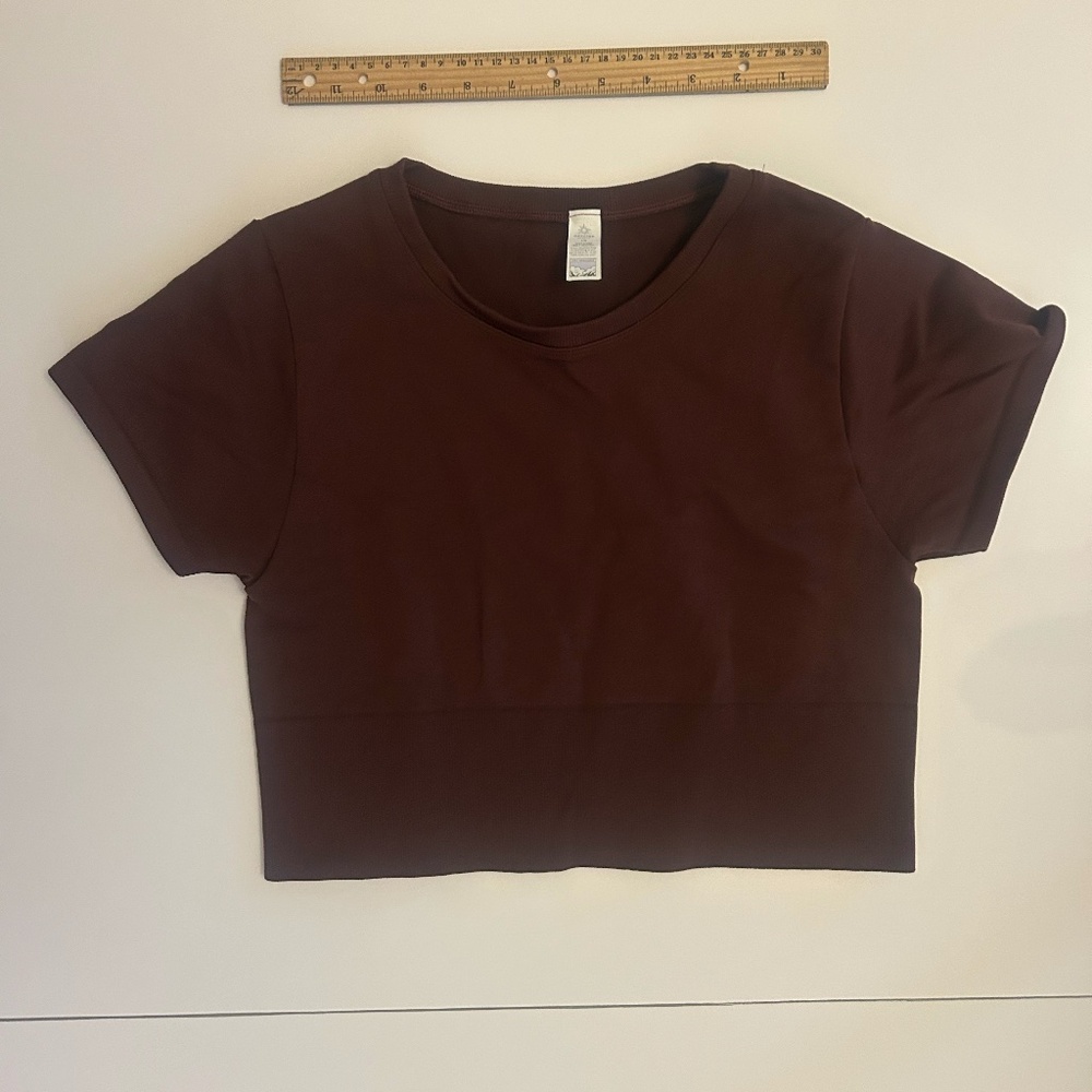 Aerie Cropped Maroon Shortsleeved Offline T-Shirt.